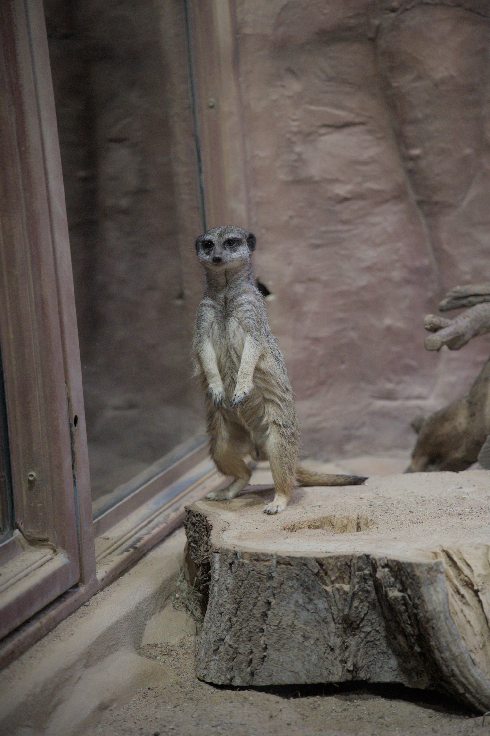 2025/10/12 - zoo/DSC_0331.jpg